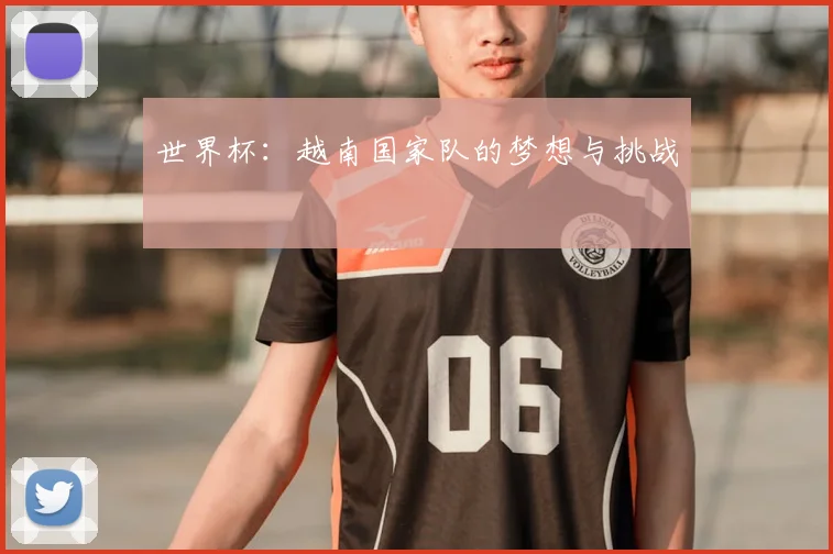 世界杯：越南国家队的梦想与挑战