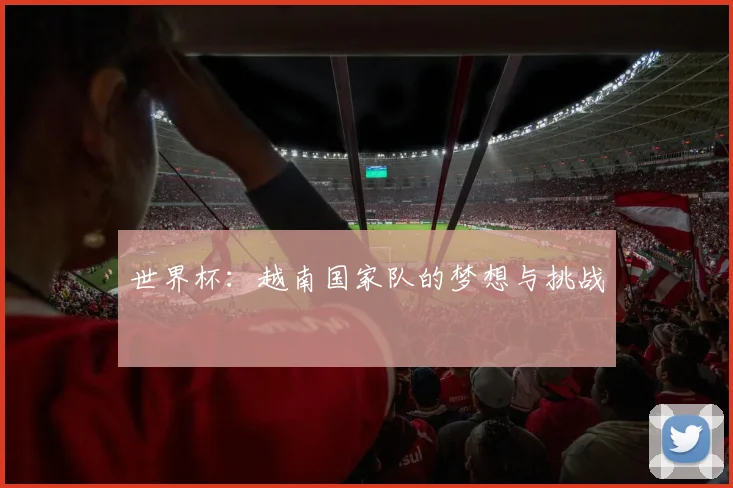 世界杯:越南国家队的梦想与挑战
