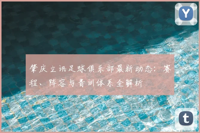 肇庆立讯足球俱乐部最新动态：赛程、阵容与青训体系全解析