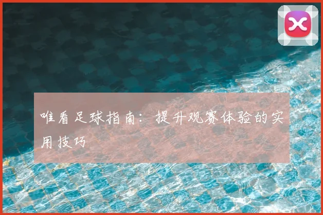 唯看足球指南:提升观赛体验的实用技巧